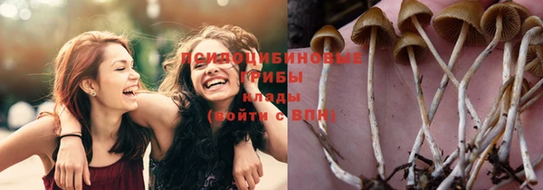 spice Алексин