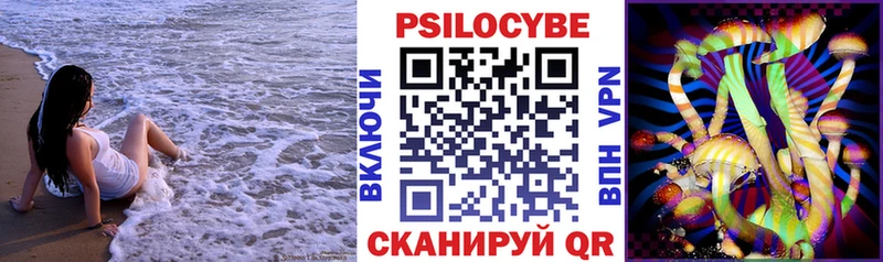 купить  сайты  Игра  Псилоцибиновые грибы GOLDEN TEACHER 